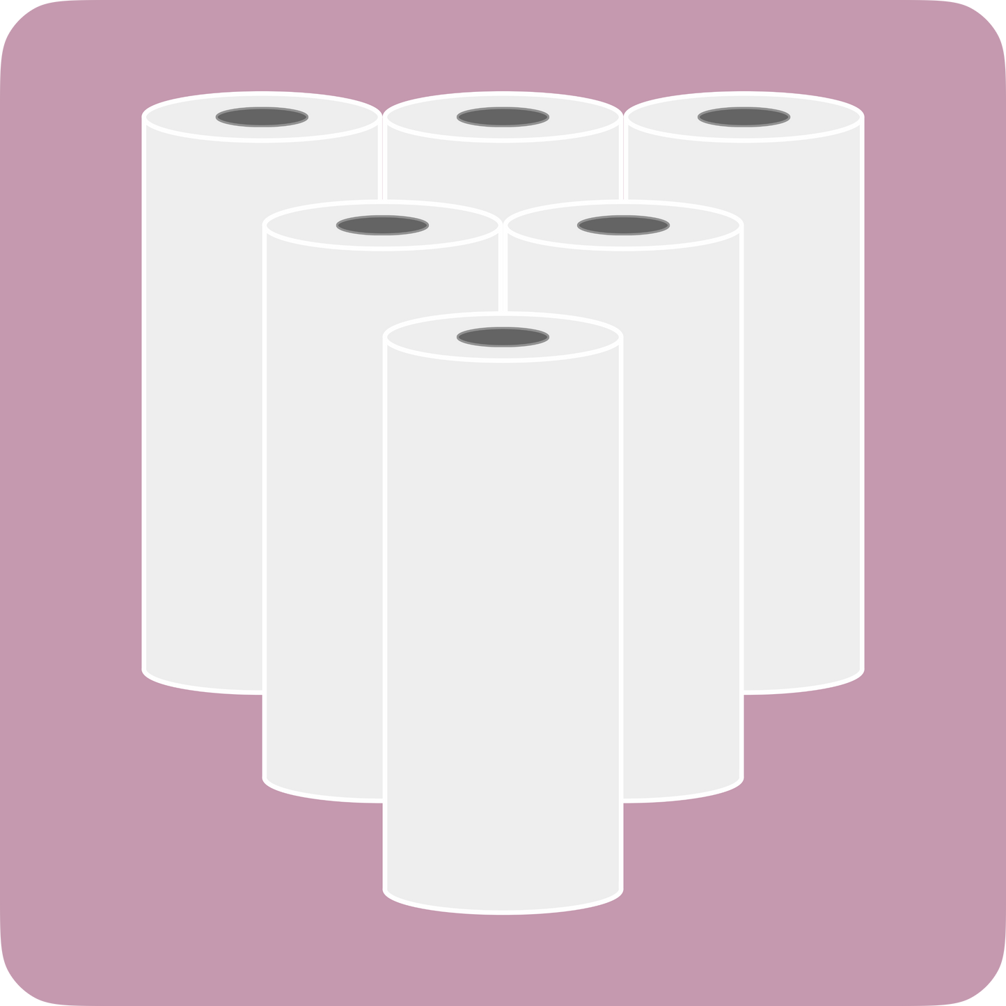 Paper Rolls for The Portable Mini Printer