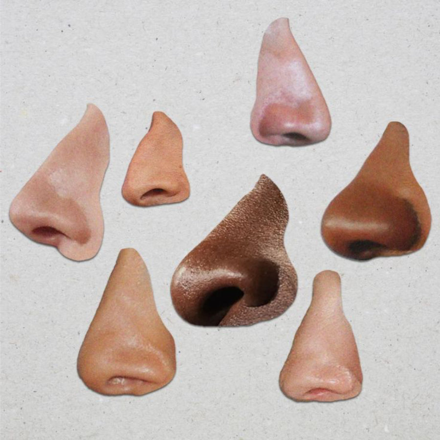 Image humoristique de plusieurs nez en collage sur fond neutre, illustrant le pouvoir olfactif des Brumes à base d'hydrolat, reconnues pour leurs parfums doux et apaisants.