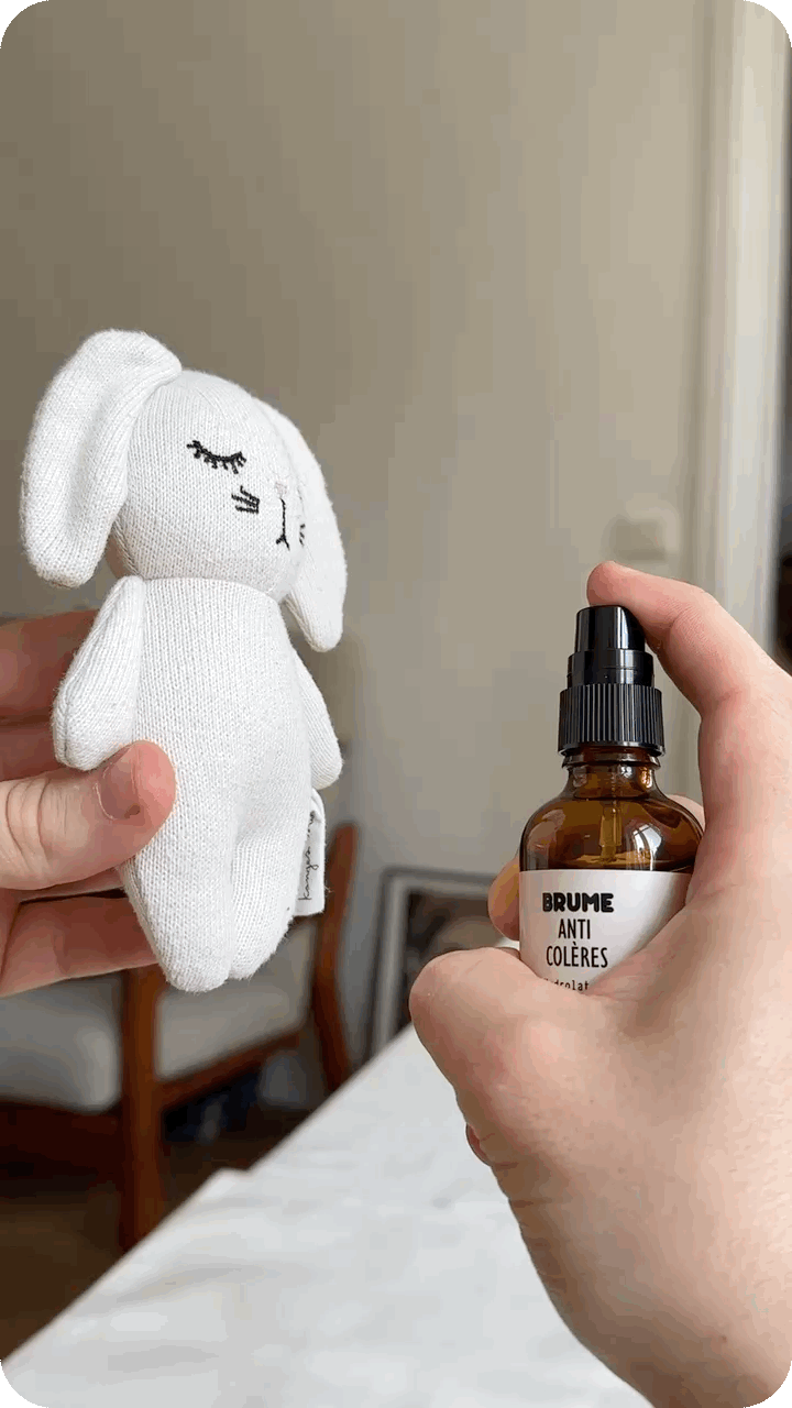 Image animée de Spray sur un doudou de Brume Anti-Colères à l’Hydrolat Bio de Lavande Fine.